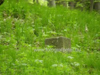 /album/hranica-nemecka-kedysi-prechadzala-aj-cez-bratislavu-karlovu-ves-neverite-pozrite-foto-/p4240296-jpg1/