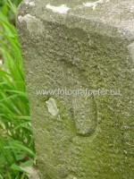/album/hranica-nemecka-kedysi-prechadzala-aj-cez-bratislavu-karlovu-ves-neverite-pozrite-foto-/p4240338-jpg1/