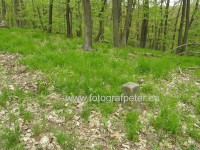 /album/hranica-nemecka-kedysi-prechadzala-aj-cez-bratislavu-karlovu-ves-neverite-pozrite-foto-/p4240340-jpg1/