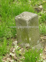 /album/hranica-nemecka-kedysi-prechadzala-aj-cez-bratislavu-karlovu-ves-neverite-pozrite-foto-/p4240342-jpg1/